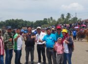 Kuda Zacklyne Sumut Juara II Jateng Derby