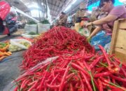 Beras Dan Cabai Merah Dominan Berikan Andil Inflasi Sumut 2023