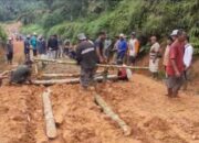 Jalan Sulit Dilalui, Ribuan Hektar Sawit Masyarakat Terpaksa Tidak Panen