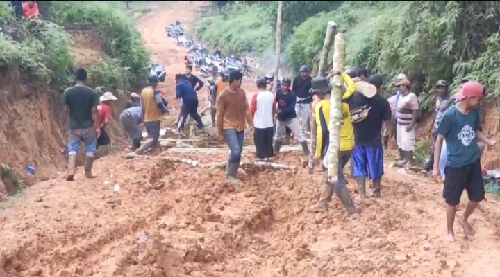 Jalan Sulit Dilalui, Ribuan Hektar Sawit Masyarakat Terpaksa Tidak Panen Jalan Sulit Dilalui, Ribuan Hektar Sawit Masyarakat Terpaksa Tidak Panen