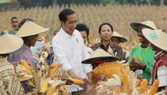 Dukung Masa Tanam, Pemerintah Siapkan 1,7 Juta Ton Pupuk