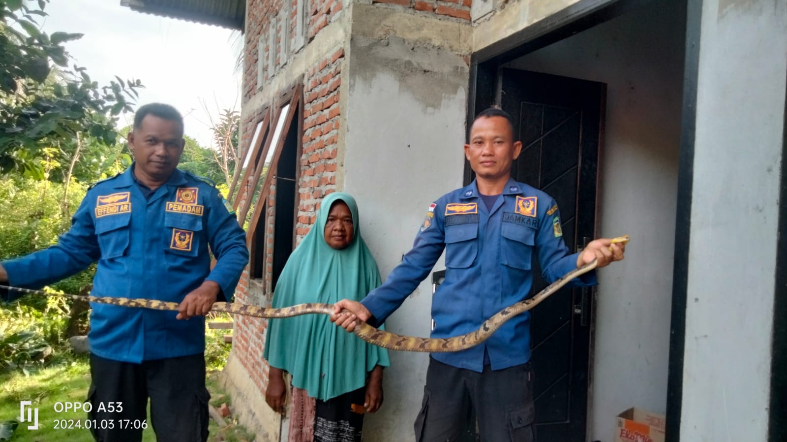 Ular 'Nyelinap' Ke Kamar Tidur Putri Ular 'Nyelinap' Ke Kamar Tidur Putri