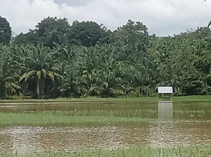 Penanganan Banjir Di Palas Terkesan Minim, Seolah Tidak Ada Anggaran