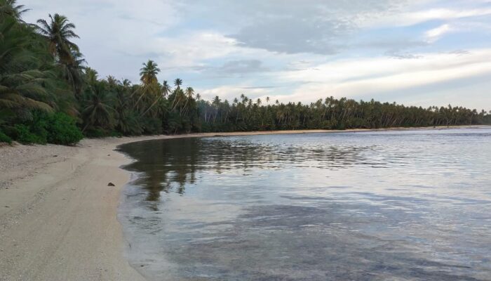 Kawasan Nanio Nisel Untuk Pengembangan Lahan Pertanian Dan Pariwisata