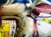 Donor Darah ASN Pemerintah Aceh Kumpulkan 42 Ribu Kantong Darah