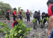 Alfamidi Tanam 300 Bibit Mangrove Peringati Hari Gerakan Satu Juta Pohon