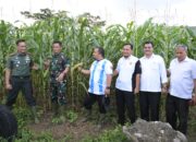 Pj Bupati Aceh Besar Tinjau Kebun Jagung dan Melon Yonif Raider 112/DJ