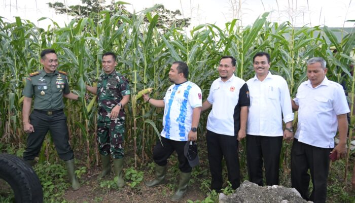 Pj Bupati Aceh Besar Tinjau Kebun Jagung dan Melon Yonif Raider 112/DJ