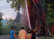 Bak Rambong Terbakar Di Geudring