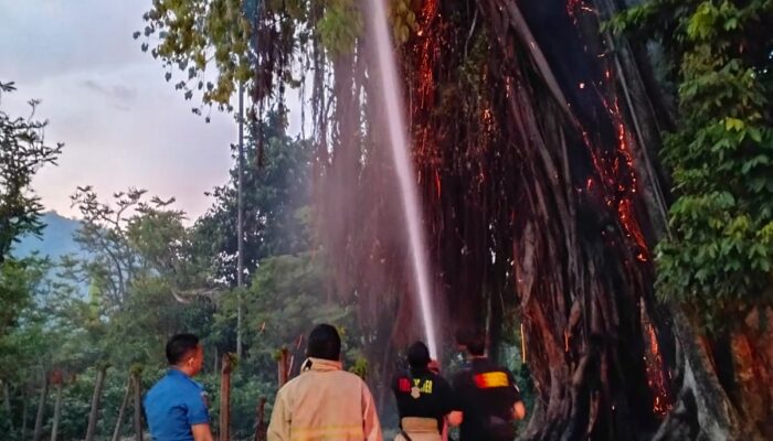 Bak Rambong Terbakar Di Geudring