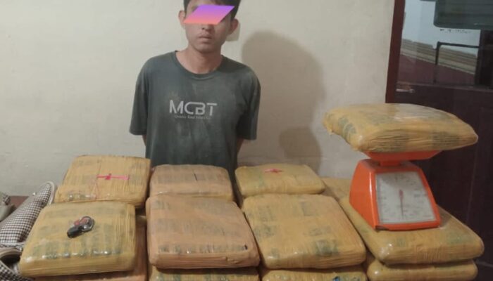 Dari Panyabungan Ke Sidimpuan, Bawa Ganja 32 Bal