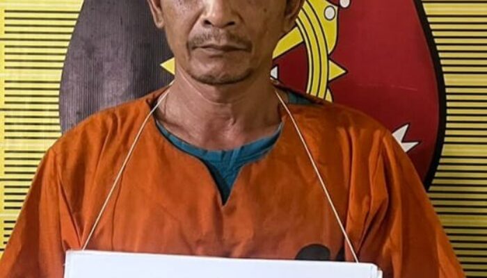 Pria Paruh Baya Cabuli Anak Bawah Umur Di Sidimpuan