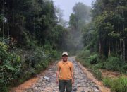 Perubahan Tutupan Lahan Di Ekositem Batangtoru