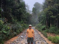 Perubahan Tutupan Lahan Di Ekositem Batangtoru