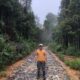 Perubahan Tutupan Lahan Di Ekositem Batangtoru