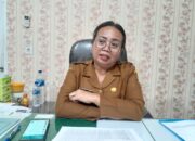 2023, 2 Juta Wisatawan Kunjungi Toba