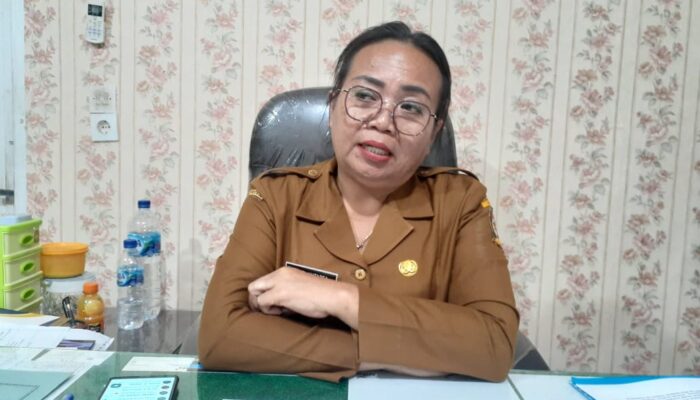 2023, 2 Juta Wisatawan Kunjungi Toba