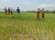 Kadistan Aceh Besar Ajak Masyarakat Manfaatkan Pompanisasi
