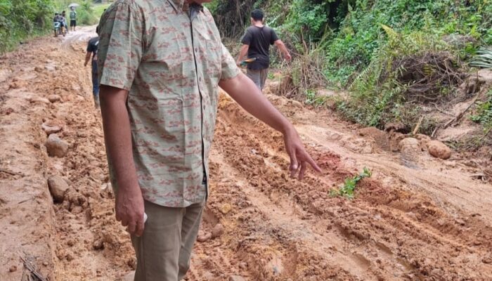 Anggota DPRD Palas Dukung Pemda Dorong PTPN IV Perbaiki Jalan