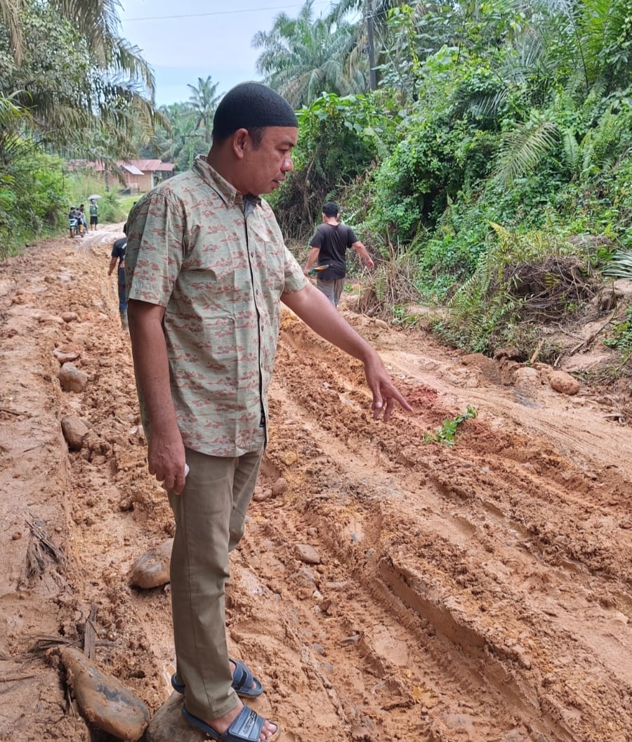 Anggota DPRD Palas Dukung Pemda Dorong PTPN IV Perbaiki Jalan