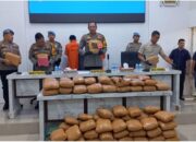 Gagalkan 116 Ball Ganja Kering Siap Edar, Polres Madina Gercep Buru Bandar