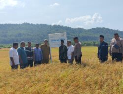 Telkom Indonesia Bantu Sumur Suntik Untuk Pertanian Di Pulo Aceh