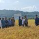 Telkom Indonesia Bantu Sumur Suntik Untuk Pertanian Di Pulo Aceh