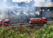 Kandang Terbakar, 6.000 Ekor Ayam Musnah