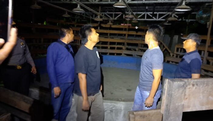 Kembali Didatangi Polisi, Lokasi Judi Sabung Ayam Tutup