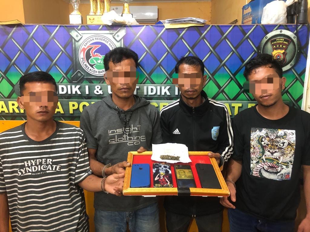 Miliki Ganja Siap Pakai, 4 Pemuda Abdya Diamankan Polisi