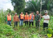 Sungai Di Asahan Mengalami Sedimentasi