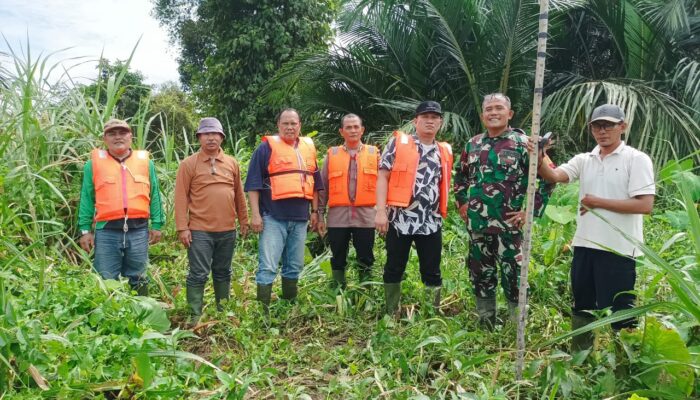 Sungai Di Asahan Mengalami Sedimentasi