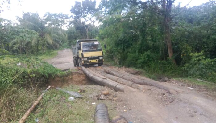 Pembangunan Kawasan Pekerbunan Sawit Aceh Utara Luput Perhatian Pemerintah