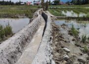 Pekerjaan Proyek Jaringan Irigasi P3A Di Agara Diduga Menyimpang Dari Perencanaan Kegiatan