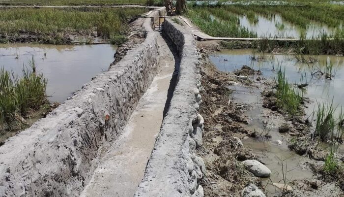 Pekerjaan Proyek Jaringan Irigasi P3A Di Agara Diduga Menyimpang Dari Perencanaan Kegiatan