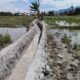 Pekerjaan Proyek Jaringan Irigasi P3A Di Agara Diduga Menyimpang Dari Perencanaan Kegiatan