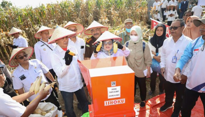 Perhatian Pemko P. Siantar Di Bidang Pertanian Wujud Nyata Kuatnya Hanpang