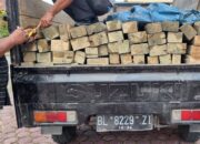 Polisi Tangkap Kayu Olahan Tanpa Dokumen Plus Tersangka