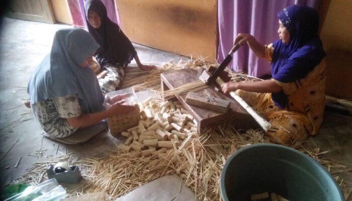 Usaha Rokok Daun Nipah Di Aceh Timur Butuh Sentuhan Pemerintah