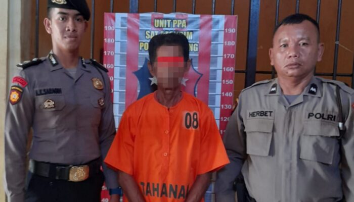 Pedagang Sate Tersangka Pelaku Cabul Anak Di Bawah Umur Diringkus Polres Tapteng