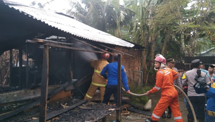 Kebakaran Rumah Di Seruway Renggut Korban Jiwa Tiga Orang