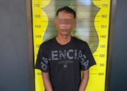 Polres Sabang Berhasil Menangkap Pelaku Illegal Logging