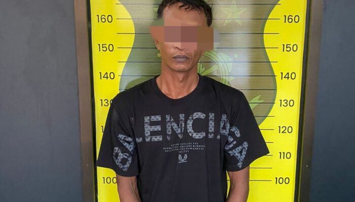 Polres Sabang Berhasil Menangkap Pelaku Illegal Logging