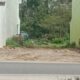 Penampung CPO Ilegal Di Langkat Rugikan Pengusaha PKS