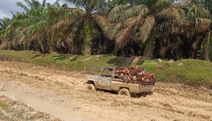 Penanganan Jalan Provinsi Wilayah Palas Diharap Segera Ditampung Di APBN