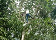 Warga Aceh Tenggara Meninggal Tersengat Listrik