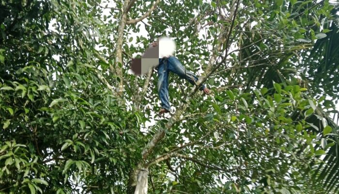 Warga Aceh Tenggara Meninggal Tersengat Listrik