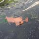 Pekerja Kolam Tewas Di Tambak Udang