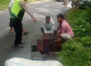 Pengendara Motor Tewas Ditabrak Truk Di Jalan Siborongborong-Sipahutar