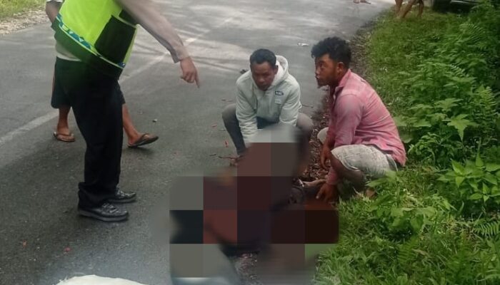 Pengendara Motor Tewas Ditabrak Truk Di Jalan Siborongborong-Sipahutar
